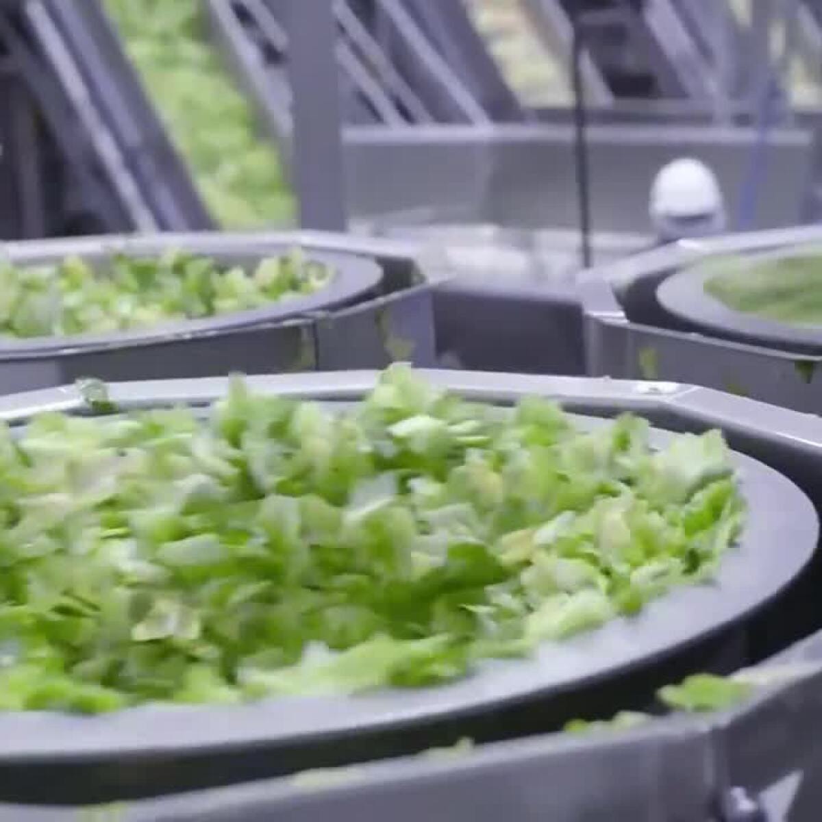 Iceberg lettuce recalled in 27 states, including Virginia, over potential cyclospora contamination
