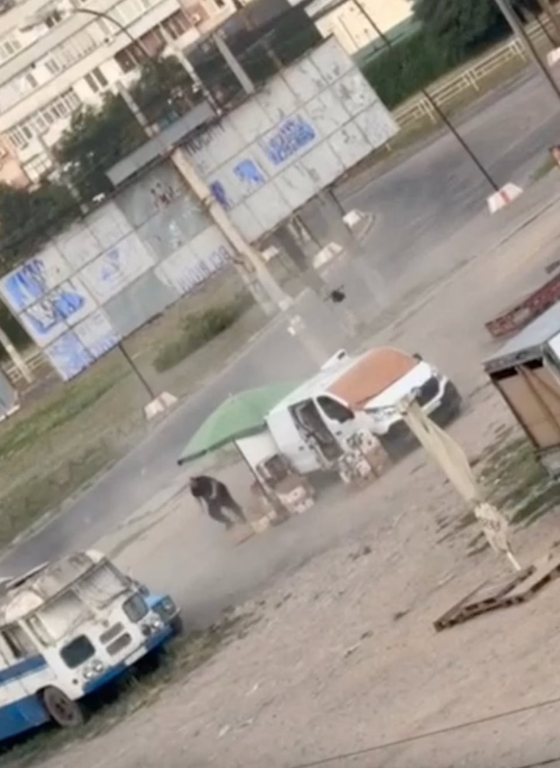 Ukraine accuses Russia of war crime after video shows drone attacking  vegetable seller in Kherson | Reuters
