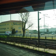 Thera