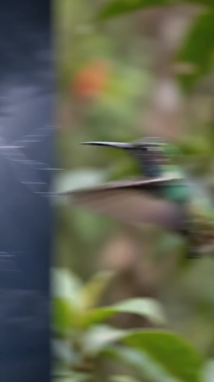 The Symphony of Sound Hits Different: 10 Seconds of Pure Audio-Visual Magic 🎵🌊