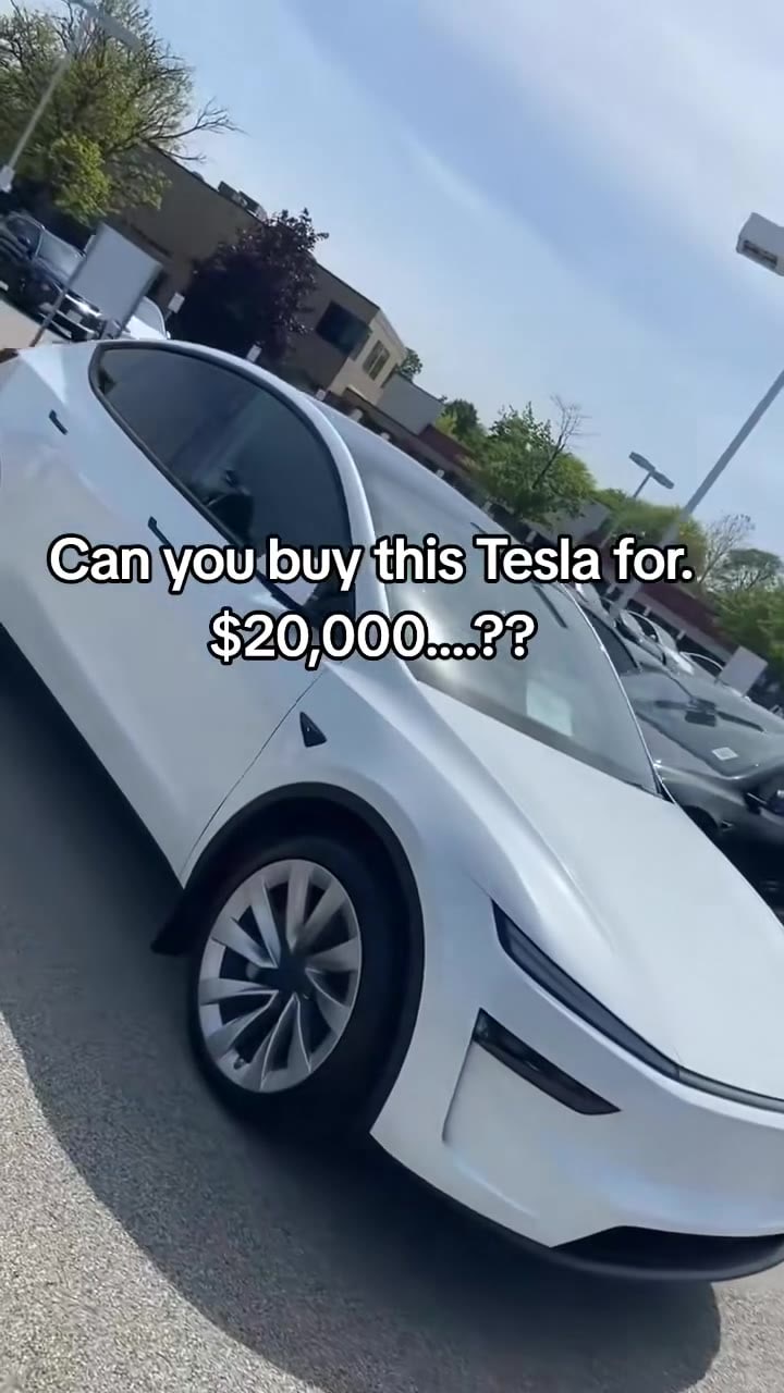 Elon musk brand in conjunction with us