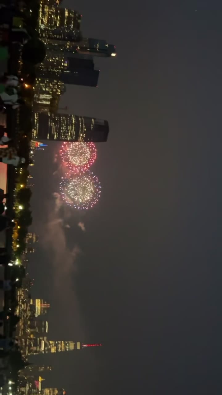 NY fire work!✨