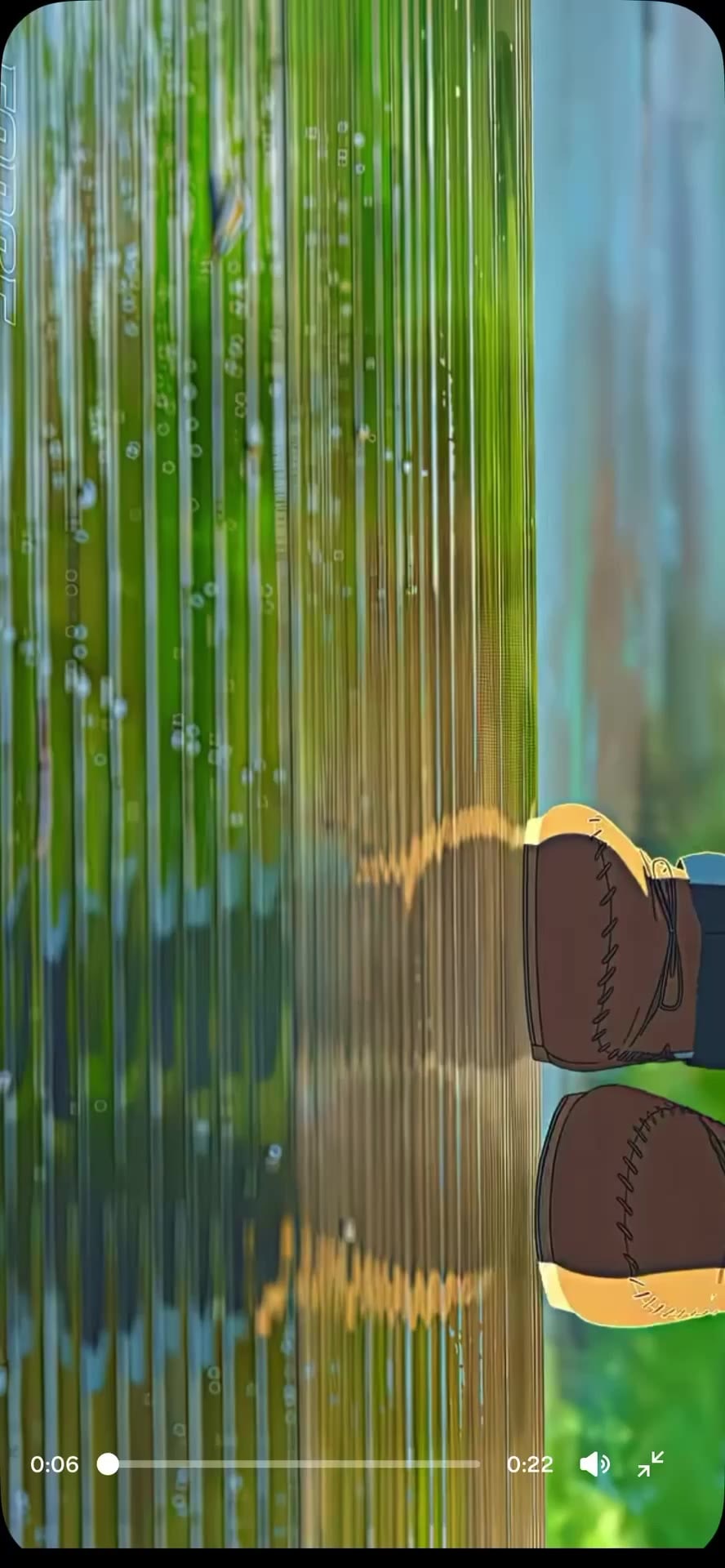 Animated scenes ✨🍃